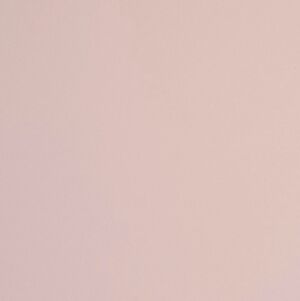 Elegant Pink Women's Accessory